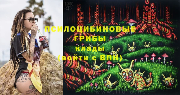 ECSTASY Чита