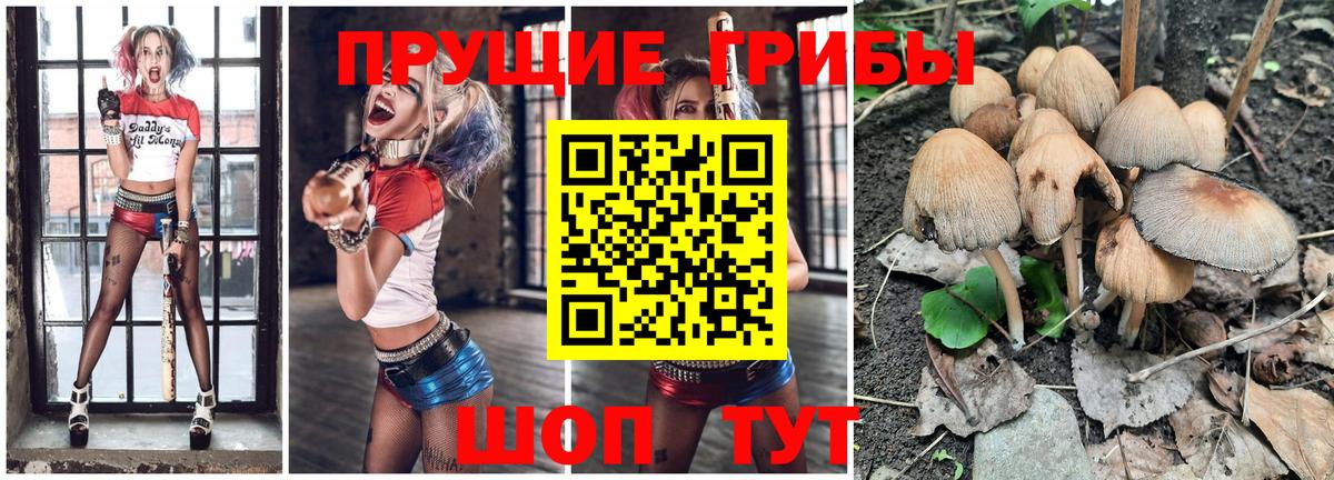 Баксан  Псилоцибиновые грибы MAGIC MUSHROOMS  Галлюциногенные грибы Psilocybe  Вход с VPN 