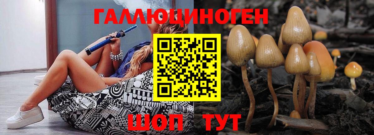 Галлюциногенные грибы ЛСД  Псилоцибиновые грибы MAGIC MUSHROOMS  Баксан 