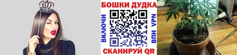 наркошоп Баксан Конопля сатива