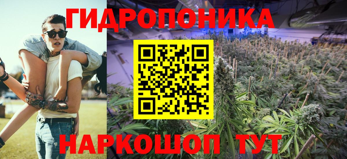 Канабис AK-47  Конопля планчик  Баксан  Шишки марихуана тримм  Канабис конопля 